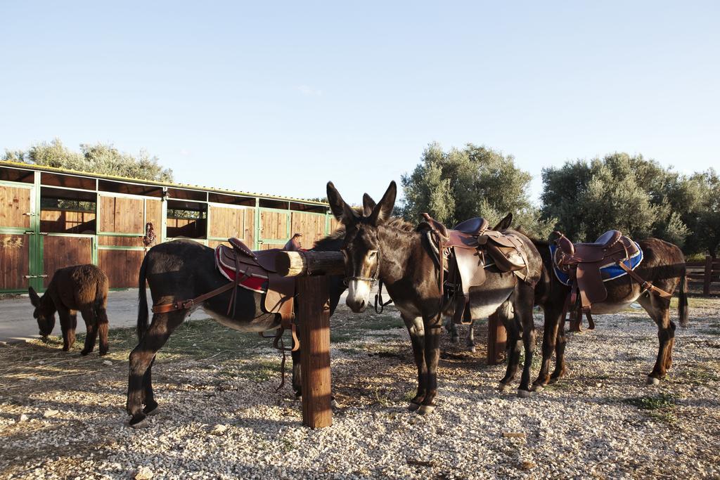 Agriturismo Agrimilo Villa Noto Esterno foto