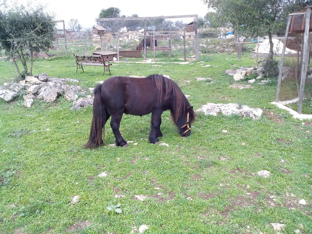 Agriturismo Agrimilo Villa Noto Esterno foto